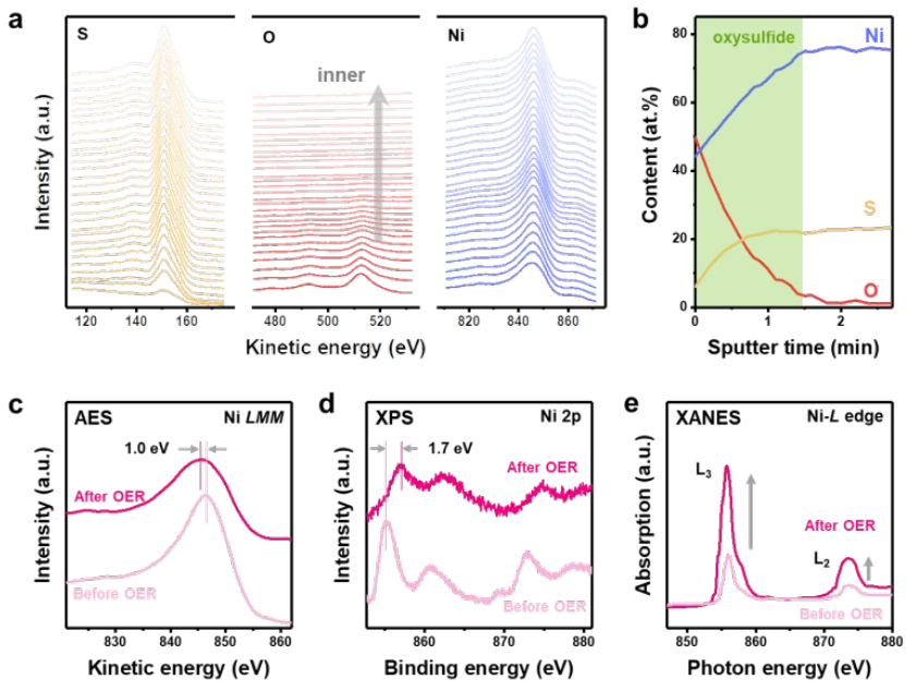 张强/李博权等团队最新Energy Environ. Sci.