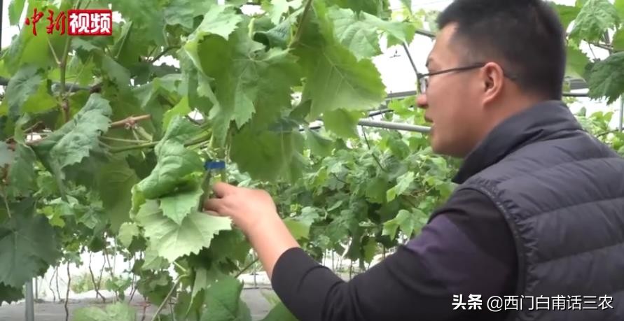 硕士回乡当农民经营两个家庭农场，年收入200万，传递什么信息？