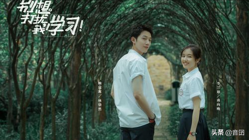 好剧推荐｜分享“五十部”很好看的青春校园剧「2」