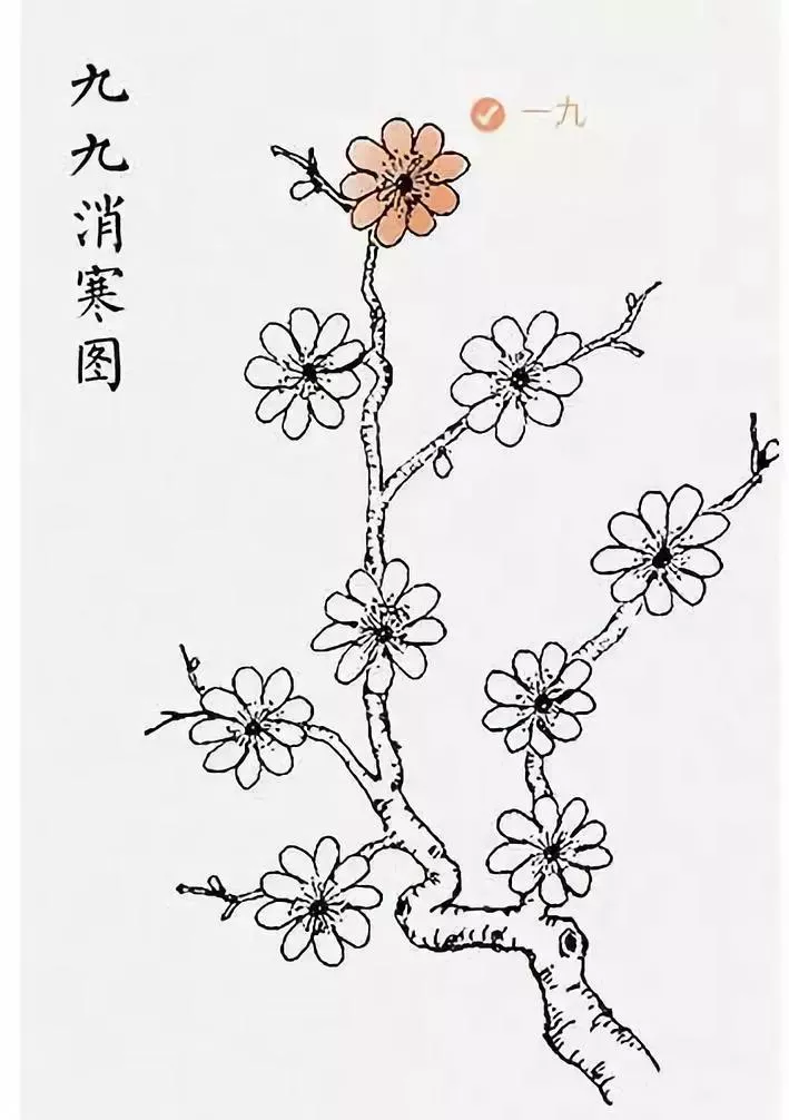 冬至:数九寒天一阳生,滋补暖胃御寒湿