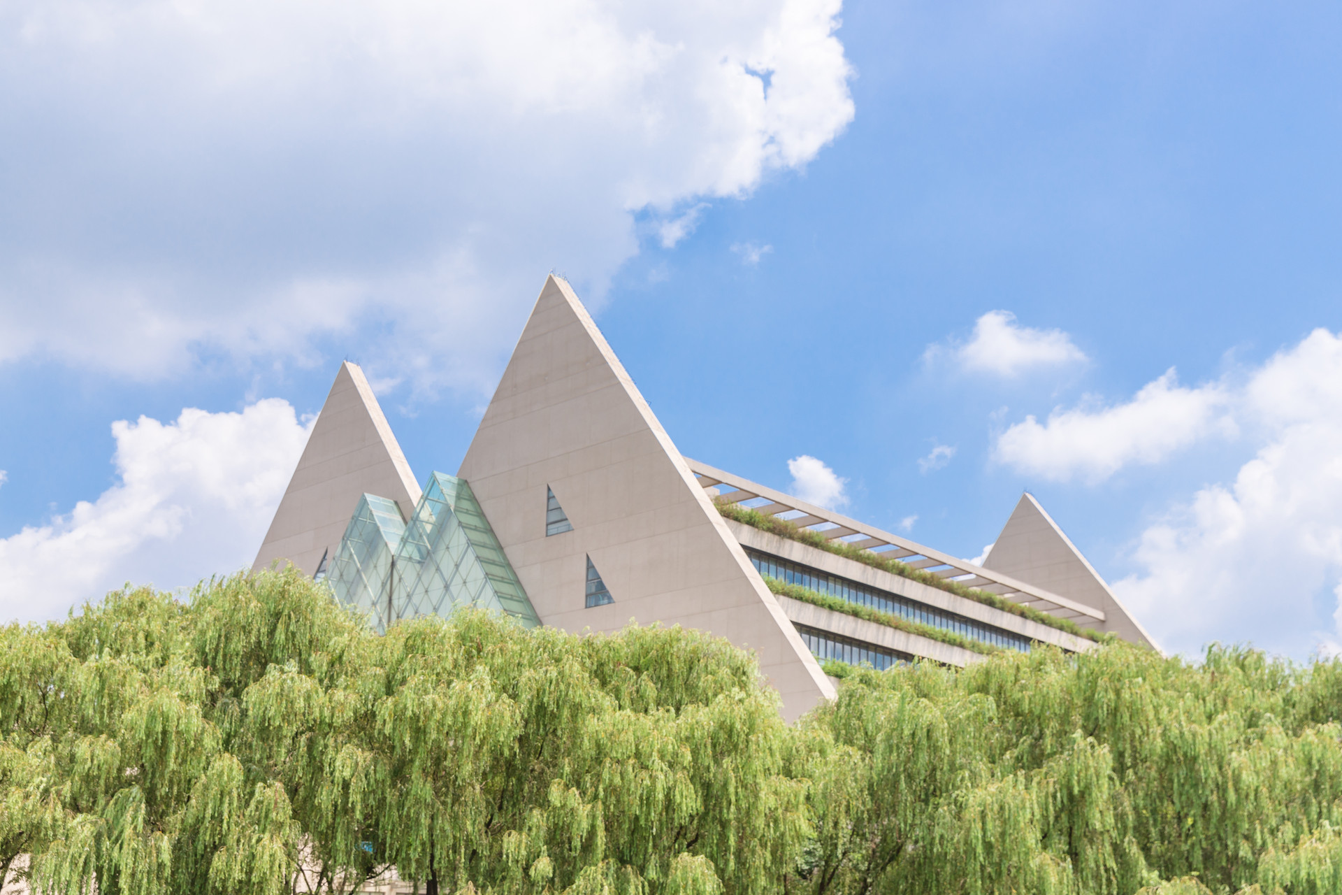 普通专升本怎样才可以跨省，哪些省份可以跨省考？