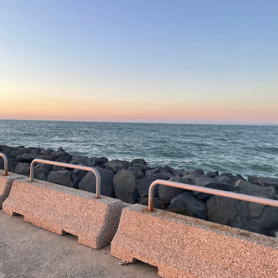 人在罗马一大,研一在读,已经找到工作了