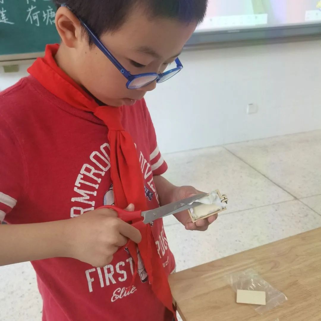 习节气·承传统|记成都高新区朝阳小学丰富多彩的立夏节气主题活动