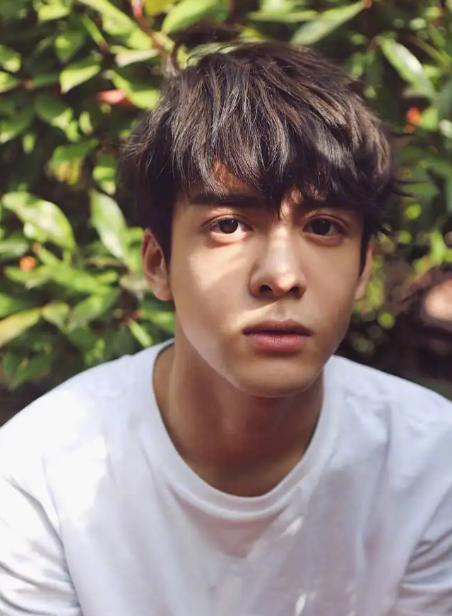 拥有“铜铃大眼”的10位男星，个个都是金刚眼，像开了大眼特效