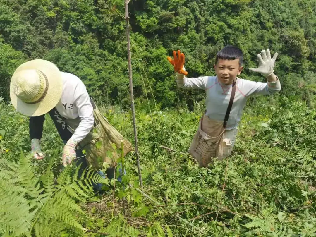 “来得正及时啊！”一份清单引起家长共鸣，桐庐有所小学已经开始