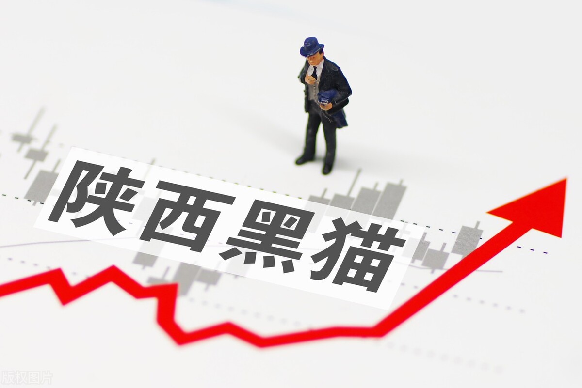 中国股市：8只低价低估值的优质龙头，未来可期