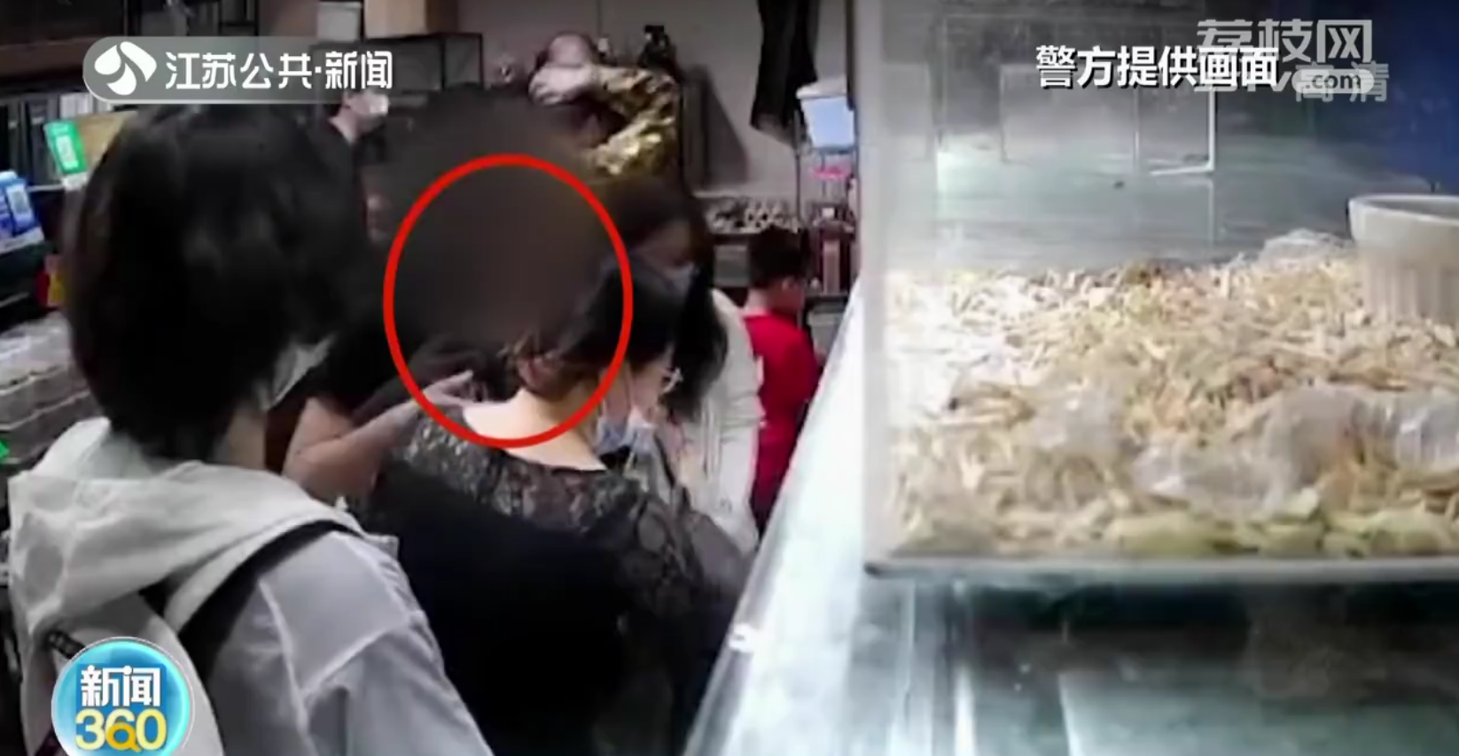 买一偷一！南京女子偷蜥蜴怕露馅 挑一只便宜的买单