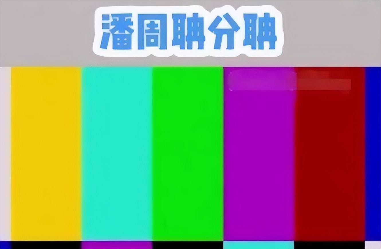 最强大脑潘周聃：因学霸式起身爆红全网，爱因斯坦是他大学校友