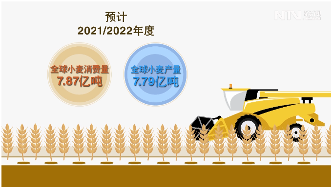 最高1.7元一斤，小麦价格涨了12%，为何麦价“大涨”？种麦赚钱吗