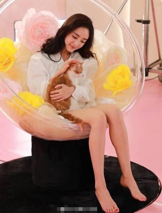 网友“越黑越红”的6位女星，个个因祸得福，你说气人不气人