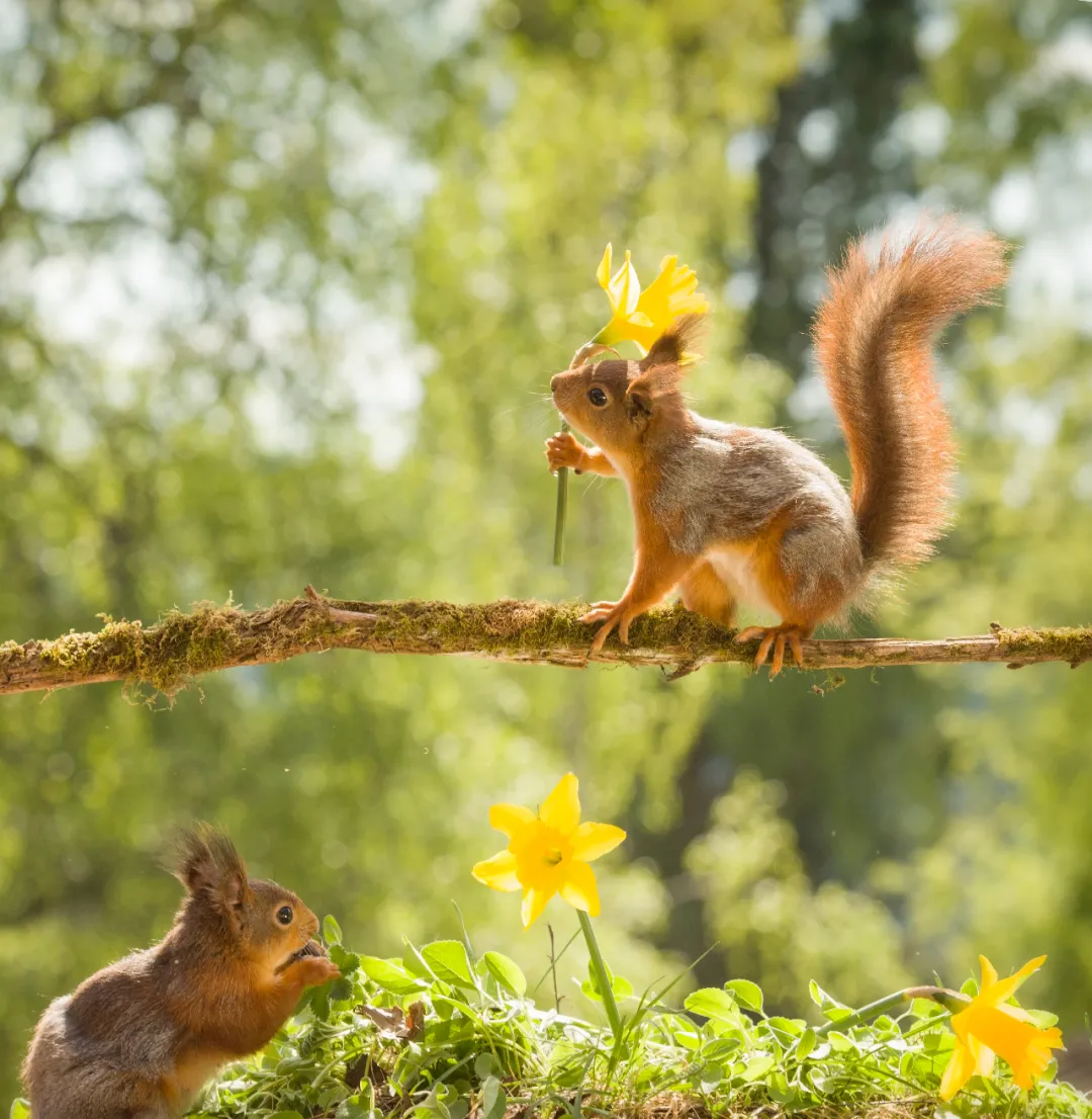 2022年2月22日正月廿二星期二,来了