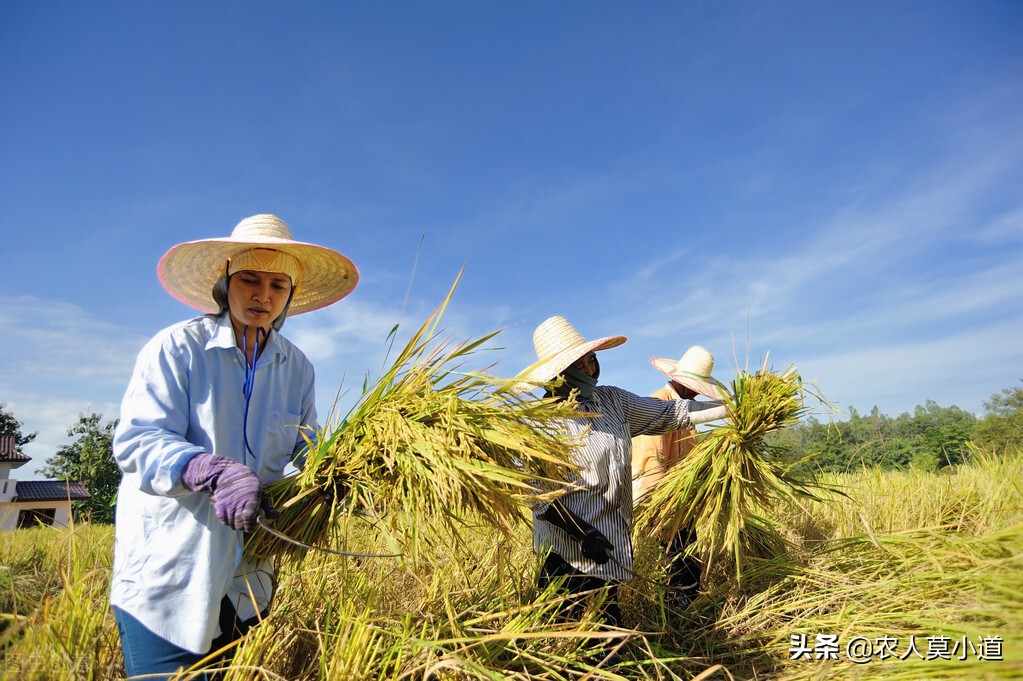 農(nóng)村里面現(xiàn)在購買農(nóng)機(jī)有補(bǔ)貼，為什么農(nóng)民卻不愿意購買了呢？