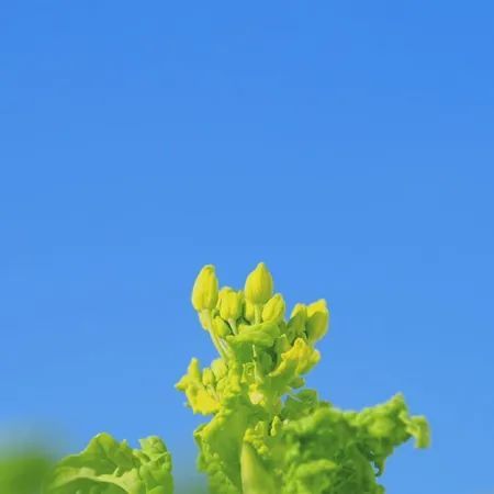 一分钟天地板！新能源大分化，板块高低切换明显，注意回踩的机会