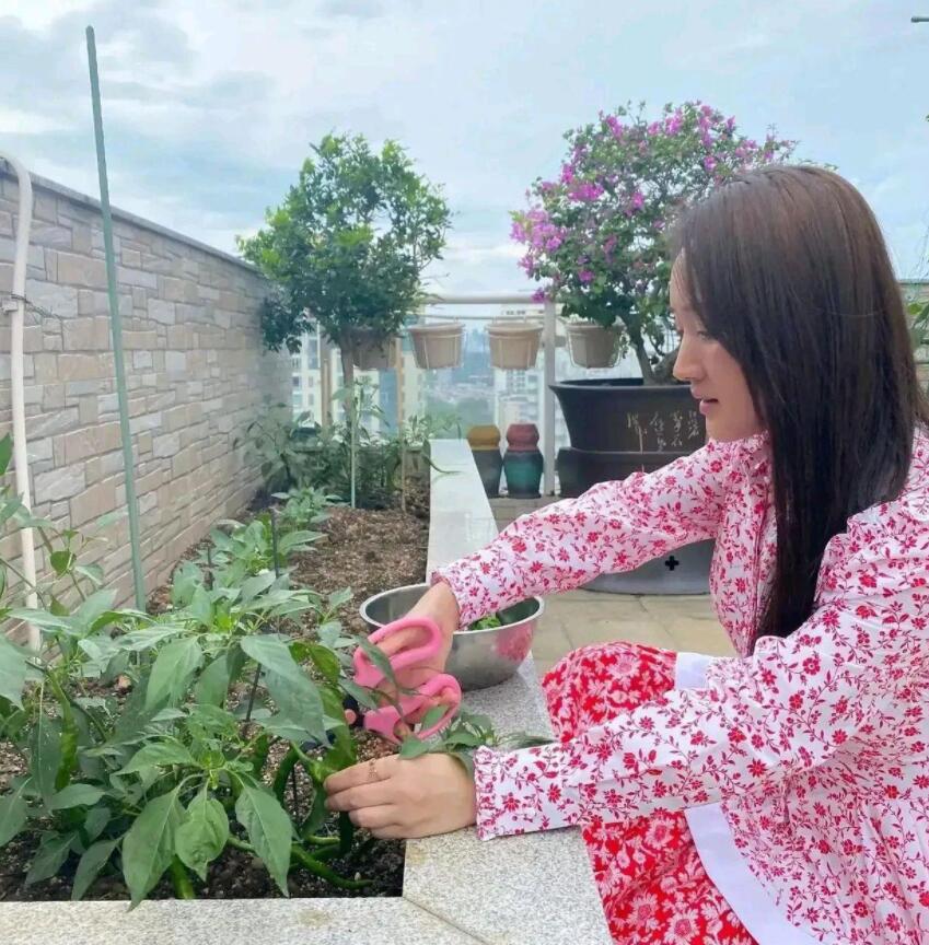 是女明星也是“菜农”！柳岩吃过刘亦菲种的茄子，张馨予家有农场
