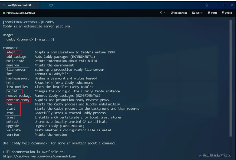 超越 Nginx！号称下一代 Web 服务器，用起来够优雅