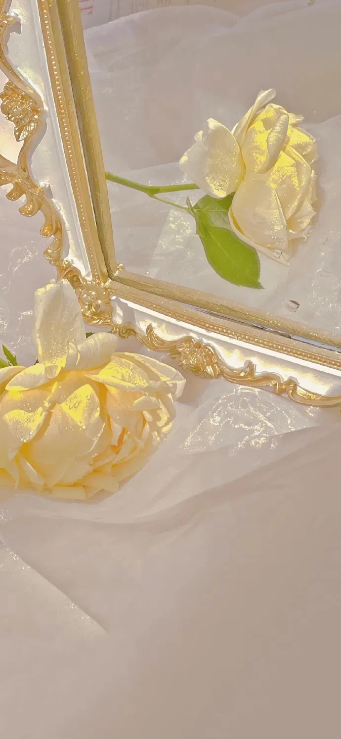 一组超好看的花朵壁纸和沙雕表情包