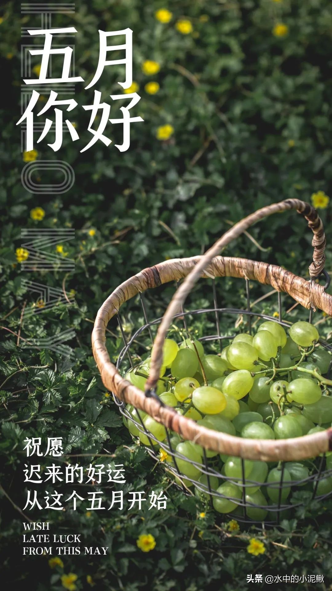 迎接五月 五月你好励志经典说说图片