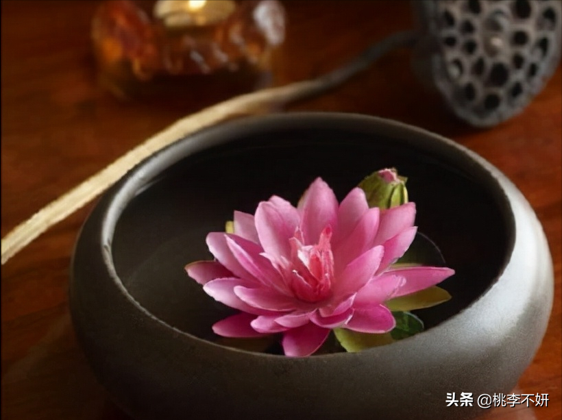 凡事入心，专注致远，点滴皆用心，认真铸卓越。