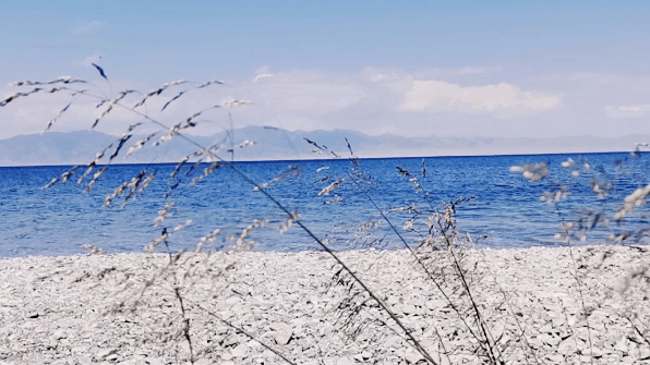 美好治愈的句子