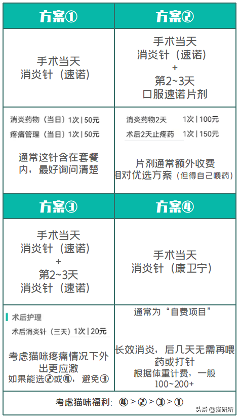 猫咪绝育前的必知事项！一篇给你说清