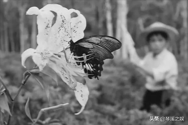 围绕着毛虫揭开剧情，以电影反映日本社会历史的“蜕变”