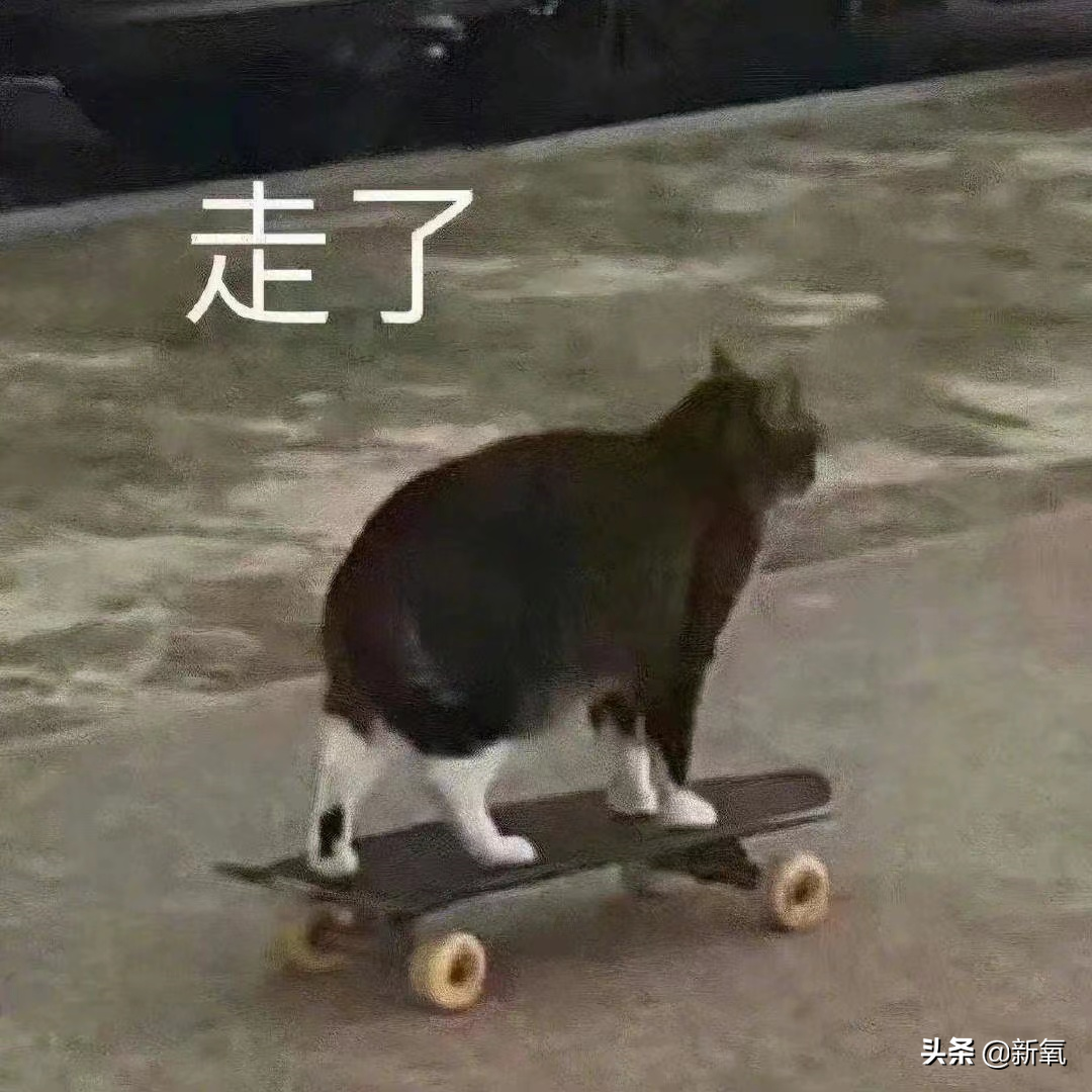 虽然确实靠脸力压过天仙，但这次的造型真是尬穿地心吧…