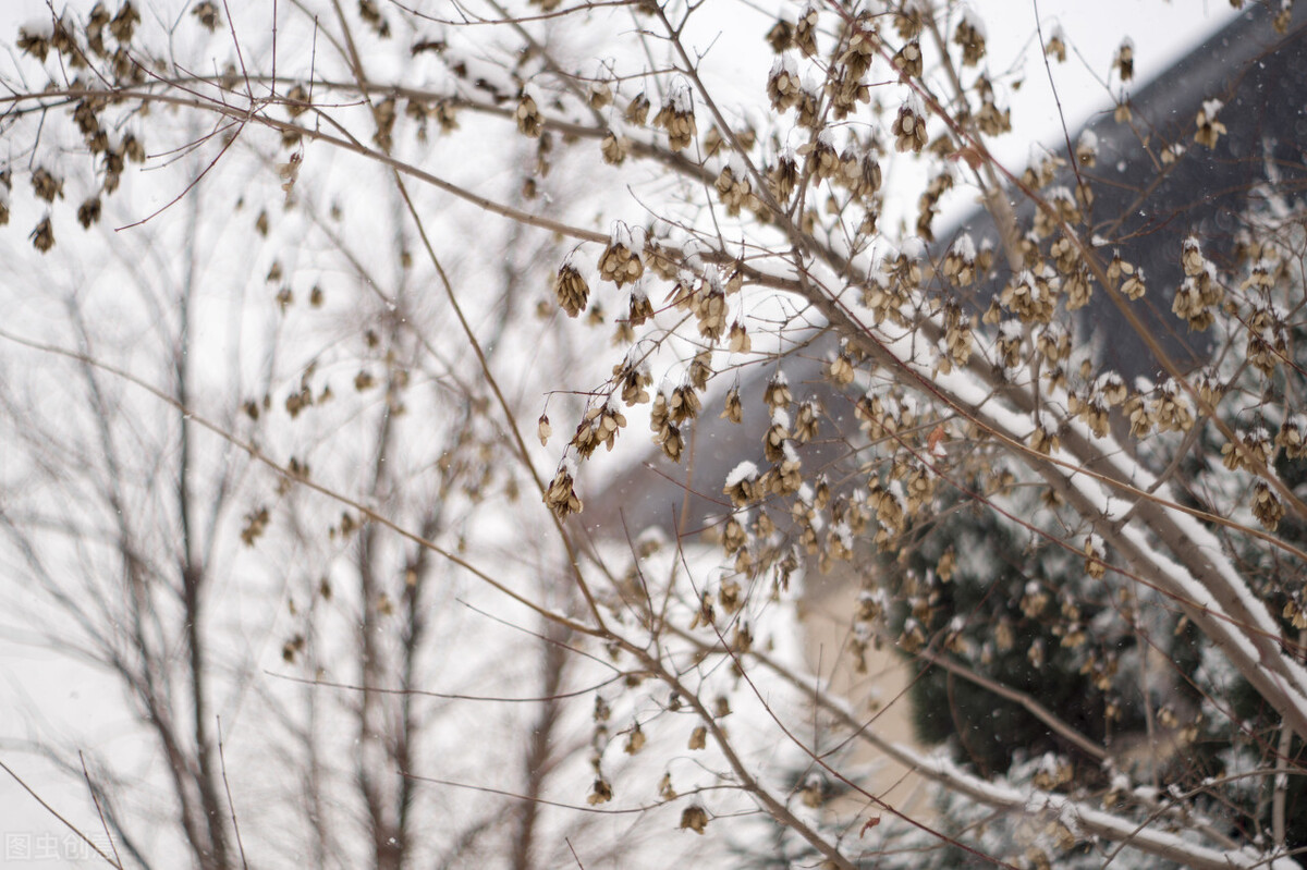 没有人告诉你，这四所警校也在单招里招生，管理严格，学生质量高