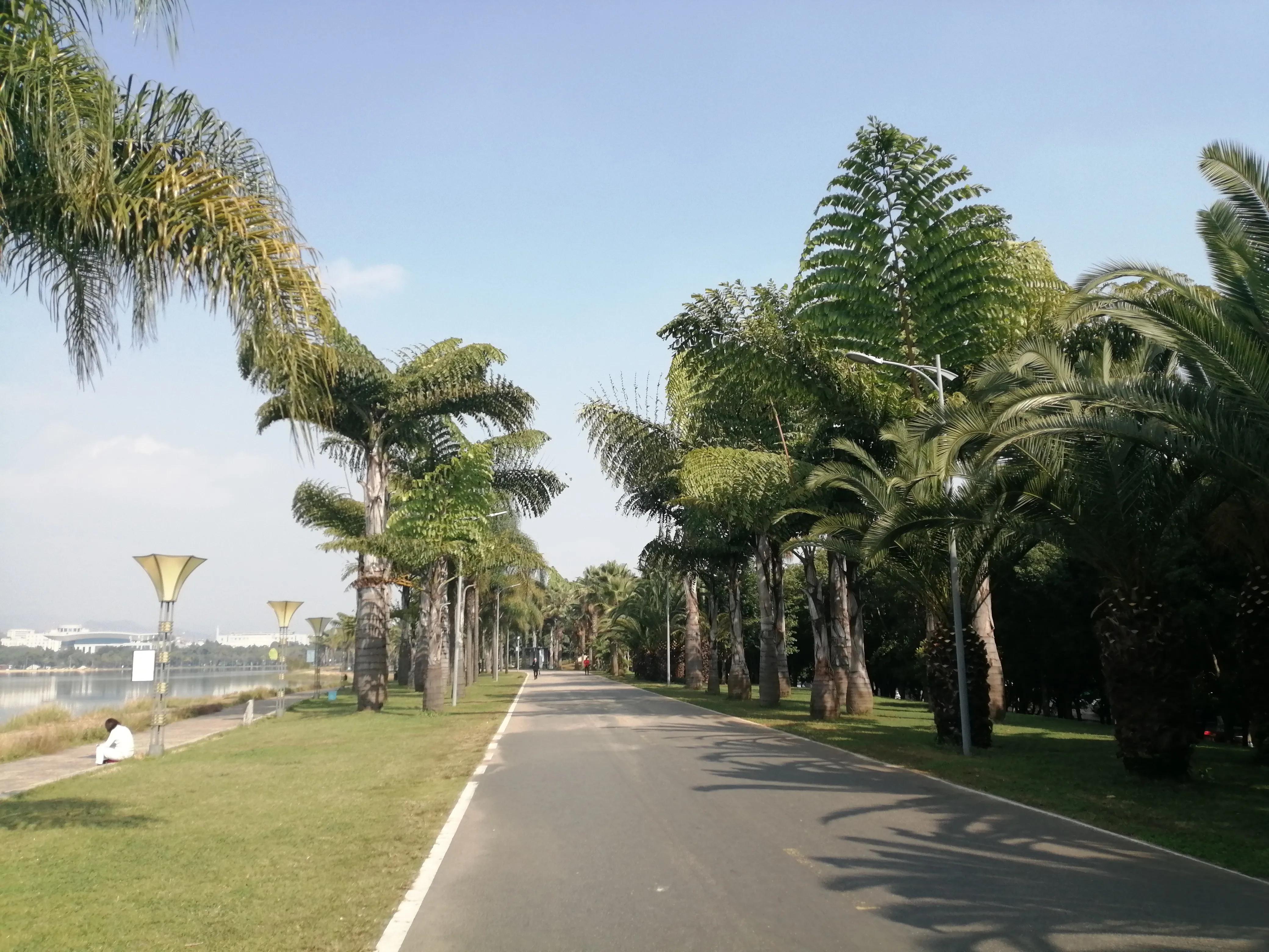 2021年的云南旅行旅居总结