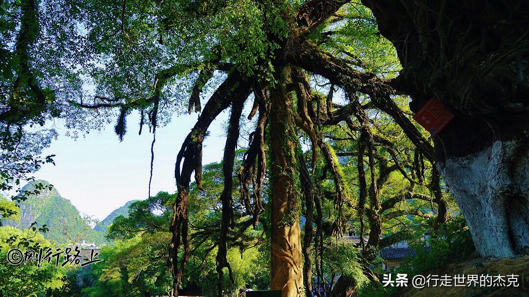 寻一静谧古镇，享一慵懒时光——黄姚古镇