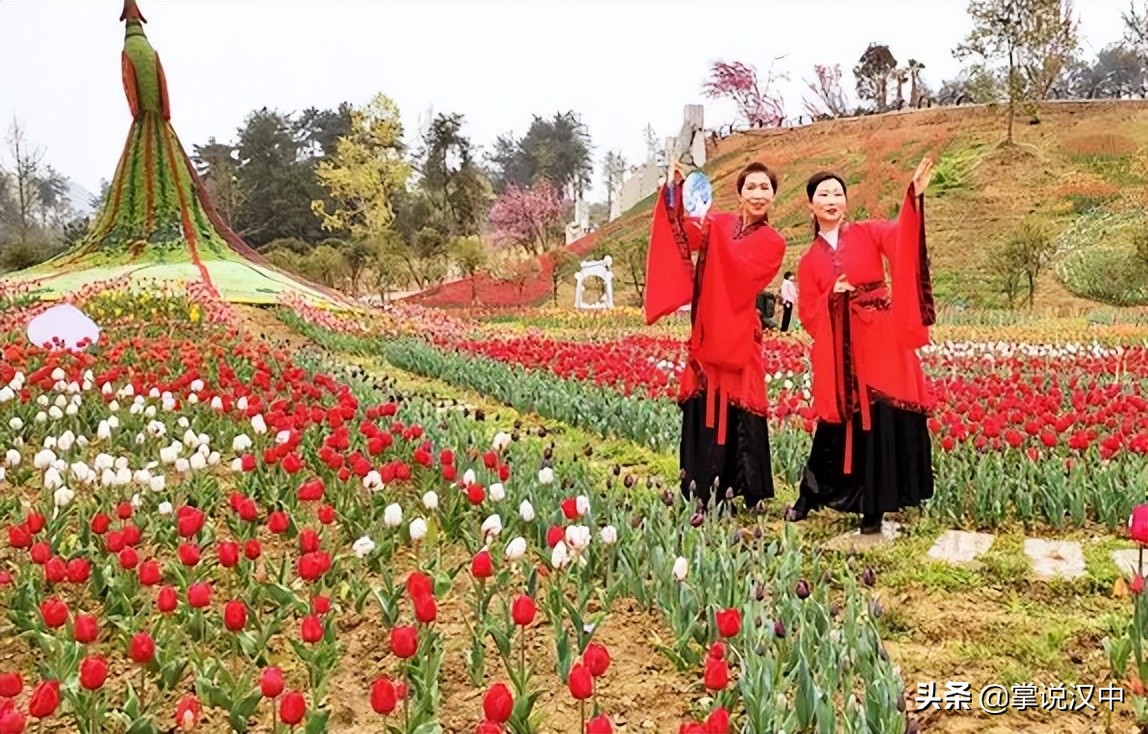 汉中南湖景区郁金香花开正艳 花海+汉服 4月2日一场视觉盛宴来袭