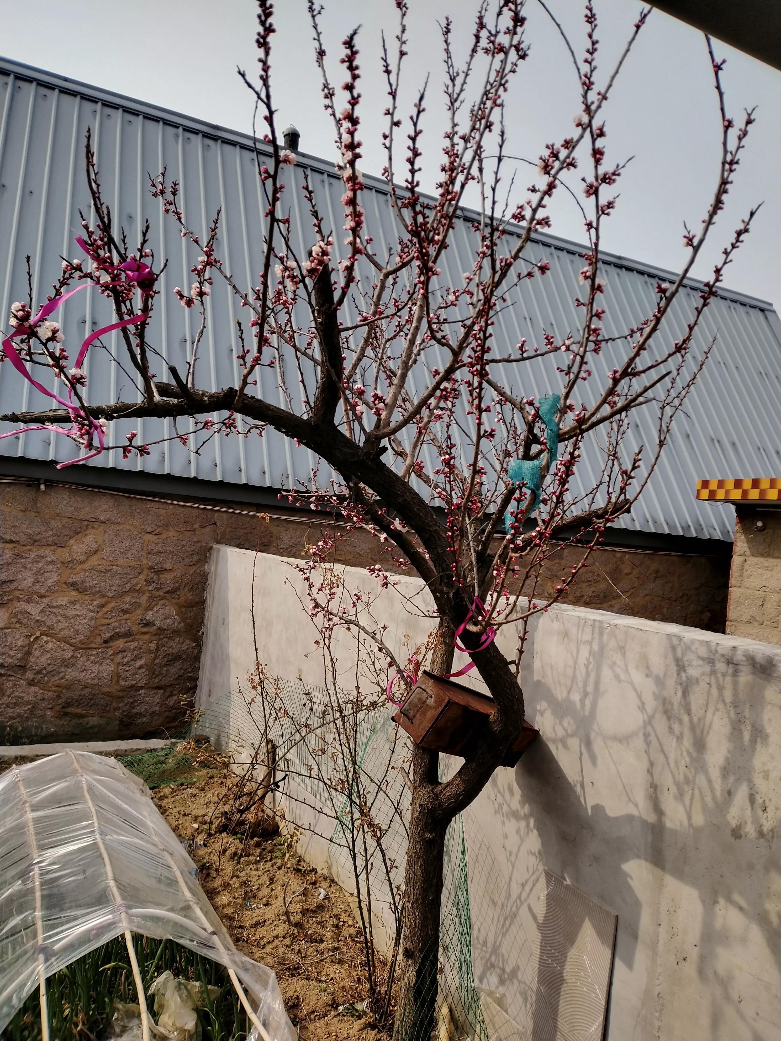 律师实习周记（律师工作日记）