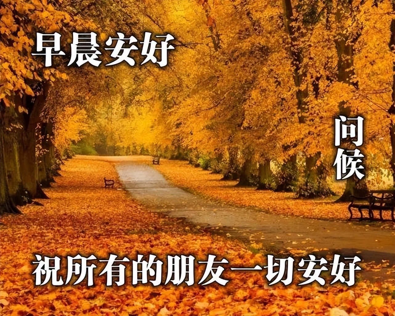 一路走来，有千万人经过身边，可是却只有你相知相伴，早安