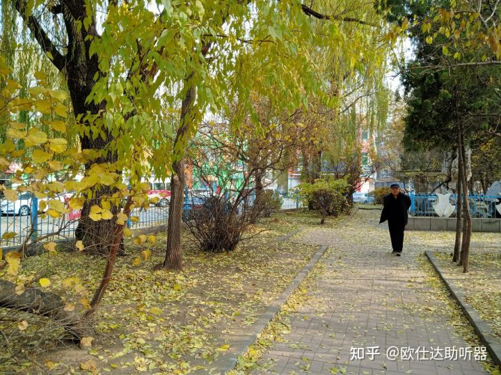 想给家里老人买个助听器，该怎么买呢？