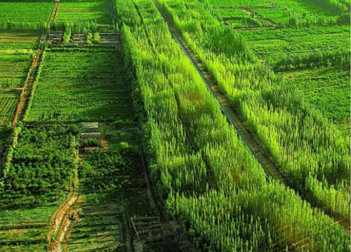 中国黑科技：“吞沙巨兽”，一天能吞食40亩沙漠，已投入甘肃建设