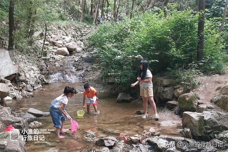 这条秦岭沟谷，一进山就能看到美景，老人、孩子来玩也合适