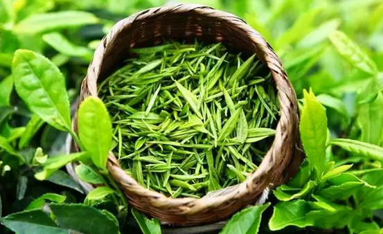 全國哪里的茶葉最好喝？經評選，這4款脫穎而出，看有你家鄉嗎？