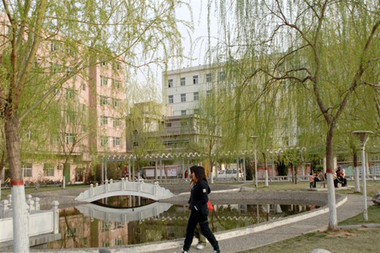 这三所院校一本实力二本分数线，拥有设计学硕士点报考需多少分？