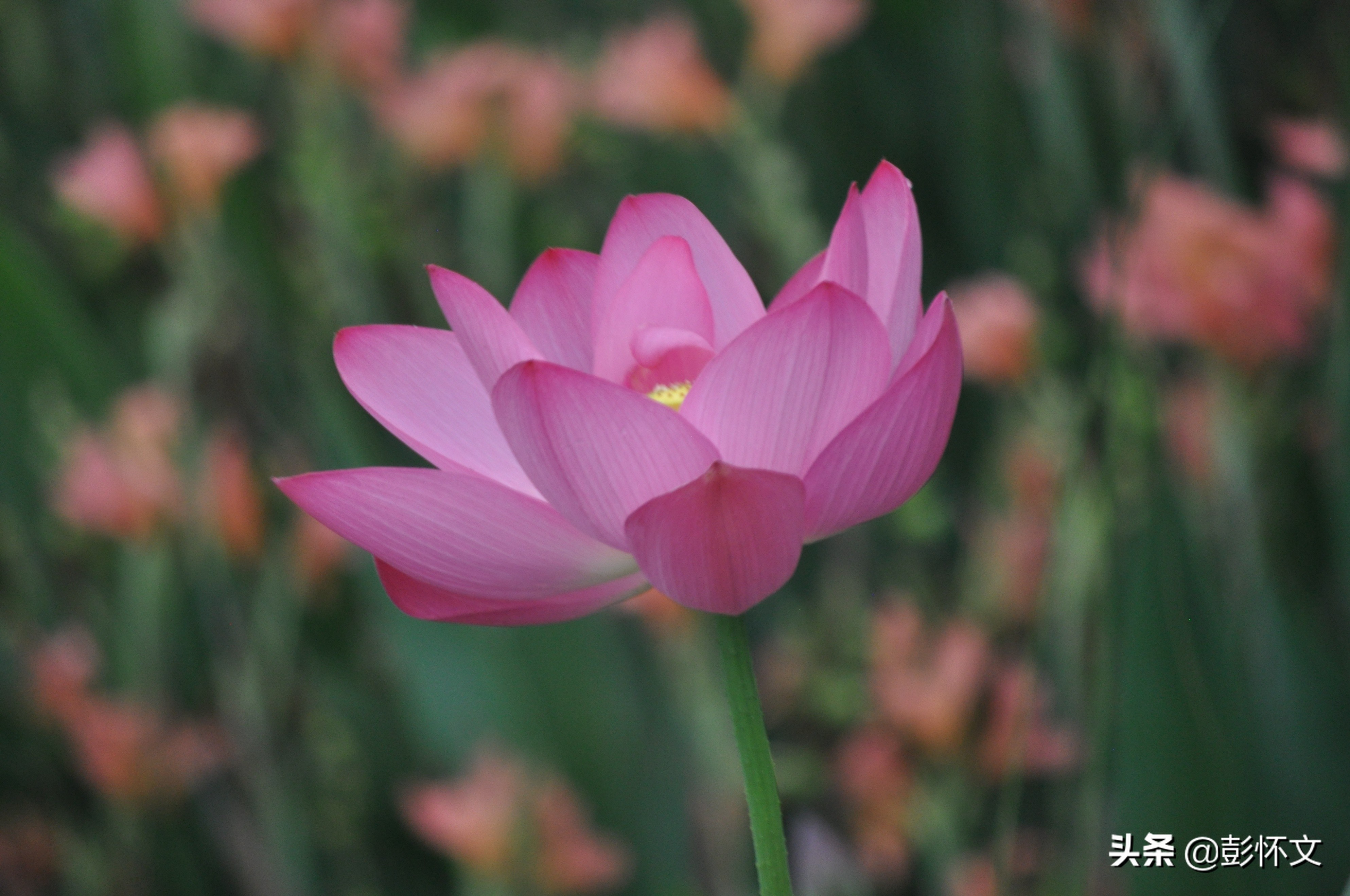 会计在线解答（财税实务问题解答9则）