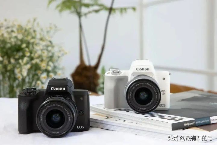 目前在售索尼、佳能、尼康半畫幅微單大盤點：各自有哪些優(yōu)缺點？