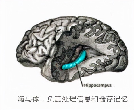 讲真，学谷爱凌每天睡10个小时，太难了