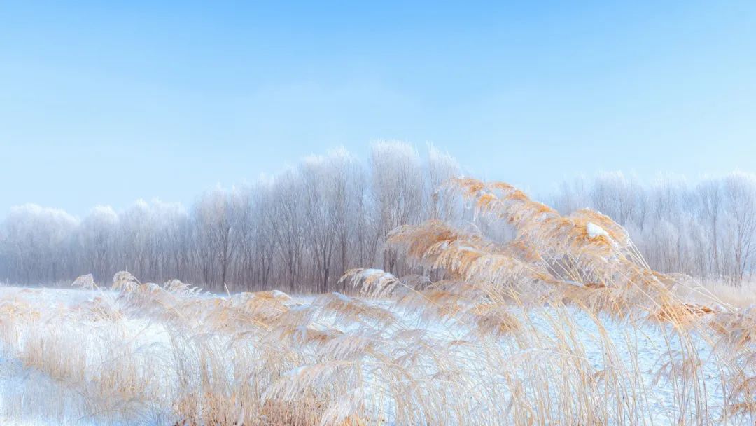 漫天飞雪的诗句（分享10首描写雪景的最美诗词）