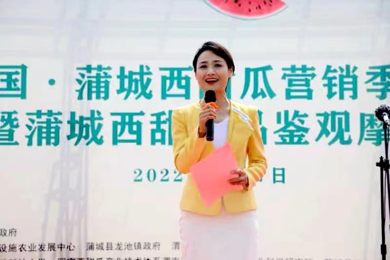 2022中国·蒲城西甜瓜营销季启动 17万亩西甜瓜迎来丰收销售期