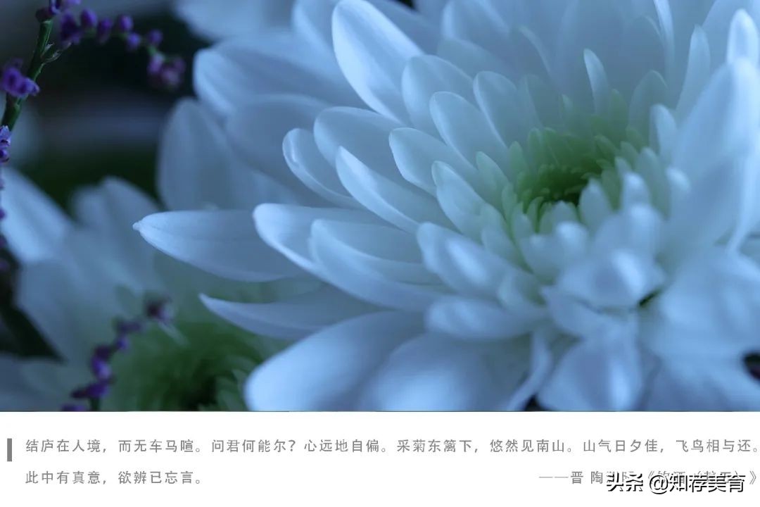 君子应该具有的精神品质