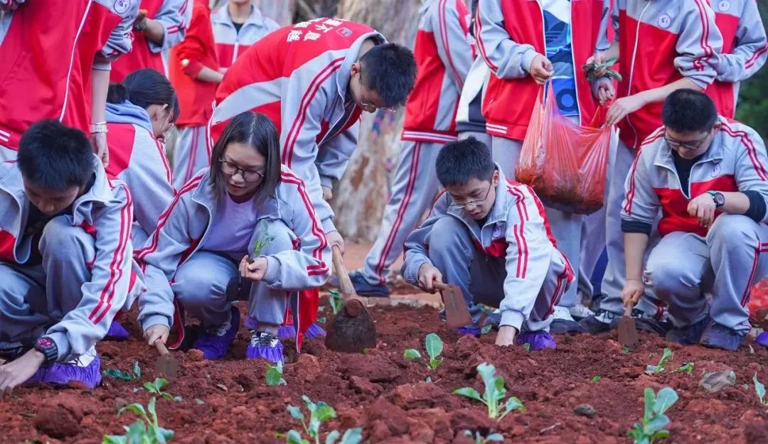 云南長水實驗中學(xué)如何推進(jìn)五育并舉(圖15)