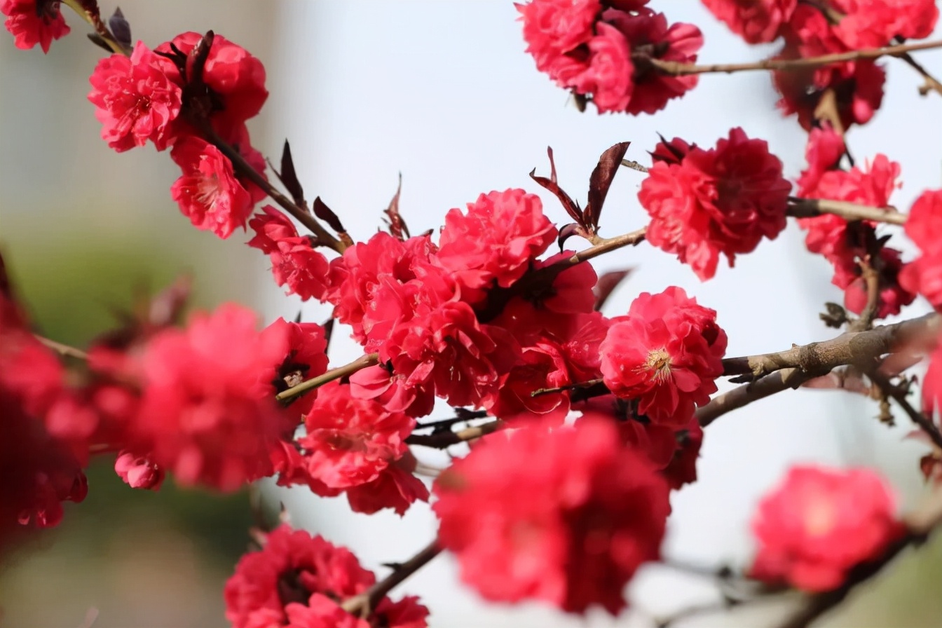 地铁双线直达，毗邻5A景区！陕西这所高颜值大学，“校花”云集