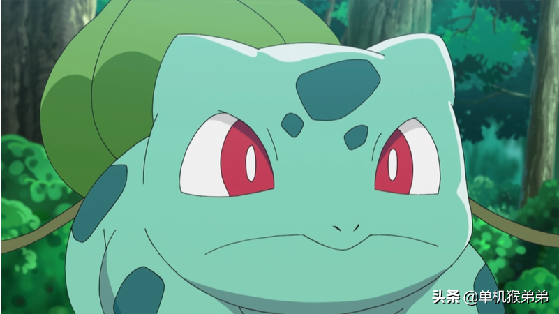 口袋妖-妙蛙种子:妙蛙种子简介:妙蛙种子是一种四足的宝可梦,外表类似