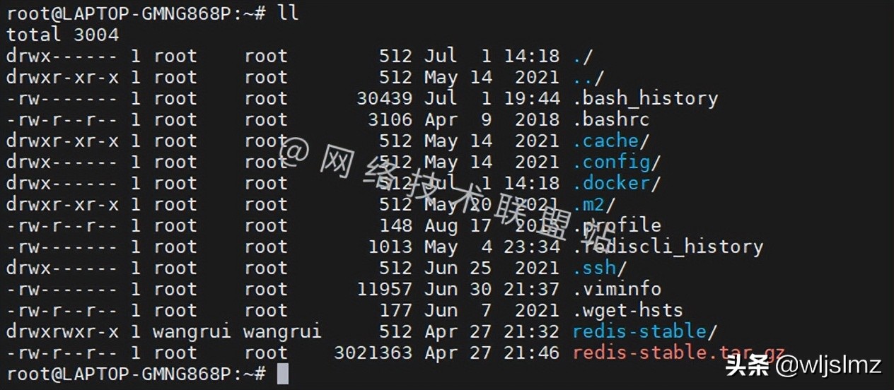 想要在Linux中只显示隐藏文件，用对ls就可以实现