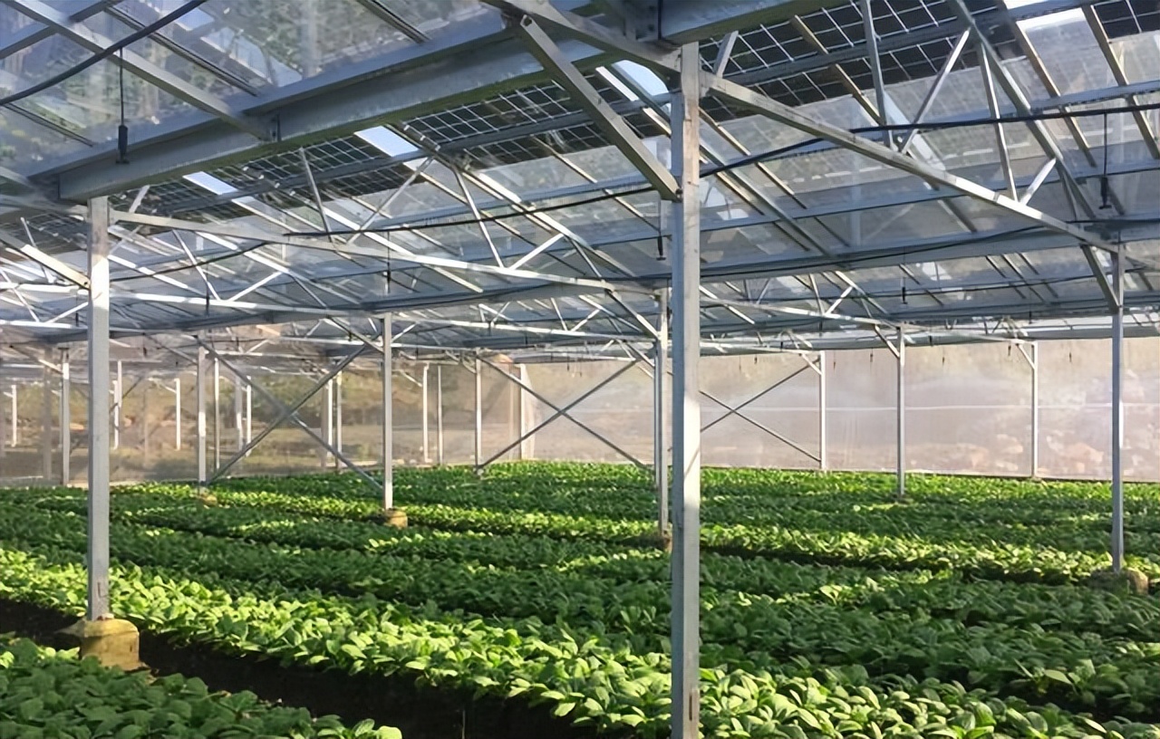 什么是光伏温室?大棚菜农肯定不会安装的,那"谁"是最喜欢的?