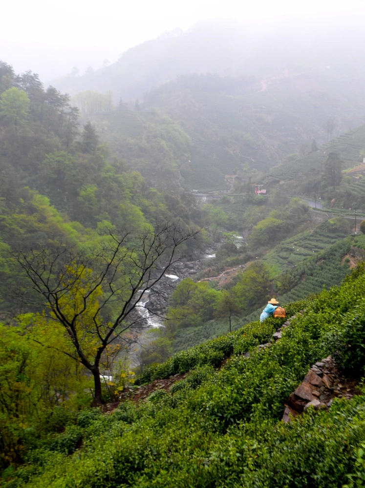 商城县苏仙石乡乡村蝶变绽新颜人居环境再提升