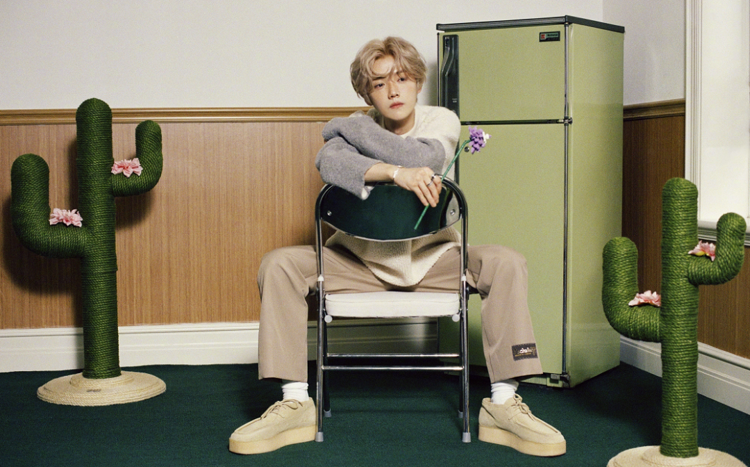 每日问答：肖战和杨紫什么关系？迪丽热巴新综艺？马思纯怀上了吗